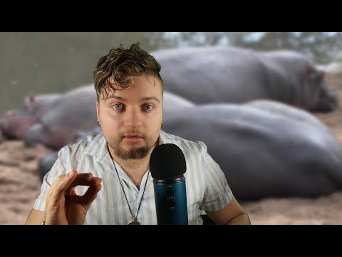Whispering facts about Hippopotamuses (ASMR) part 2