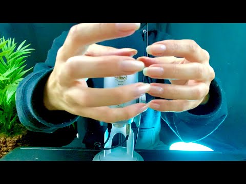 ASMR Nail Tapping 💅 Super Tingly! (Requested)