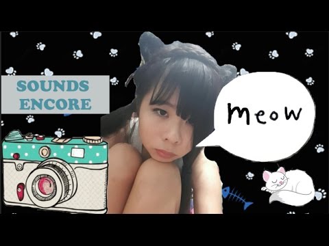 [ASMR] Kitty Finds A Camera Soundscape (Sounds Encore)
