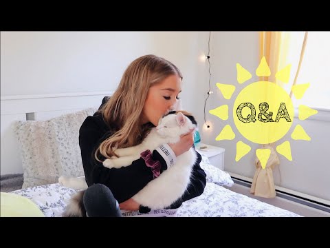 ASMR Q&A | getting a house, pets, + youtube full-time?