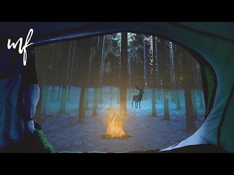 Night in the Deep Woods ASMR Ambience