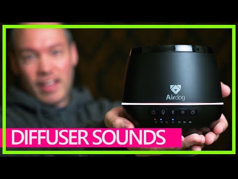 ASMR AIRDOG ESSENTIAL OIL DIFFUSER 💧 Humming, relaxing, steamy! (4K60)