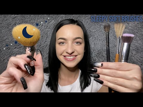 [ASMR] Sleep Inducing Face & Mic Brushing