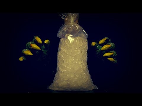 Chill with ASMR Bag of Ice
