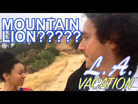 Vacation Eating in L A | LOS ANGELES | Griffith Park and Airplane Food! Animal attack?