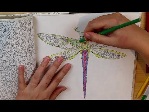 Coloring a Dragonfly | ASMR