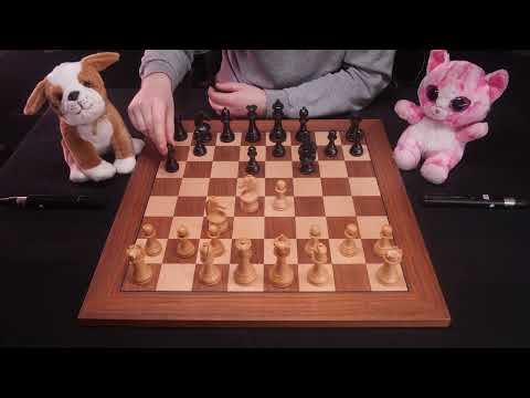 I Explain Chess Like You Are 5 Years Old (Pt. 3) ♔ Mikhail Tal vs. Peter ♔ ASMR