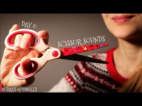 12 Days of Tingles - Day 8: Scissor Sounds