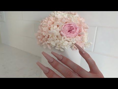 ASMR Scratching & Tapping around my House!! LOFI Soft Spoken | feat. Rose Forever & Special Guest🌹