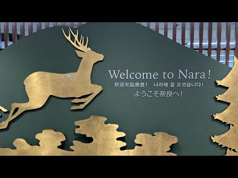 ASMR JAPAN VLOG 🦌 DAY ELEVEN | nara deer park, todai-ji museum, yoshikien garden, nakatanidou, aju