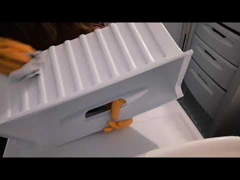 ASMR - Household Cleaning The Freezer Pt. 2 No Talking
