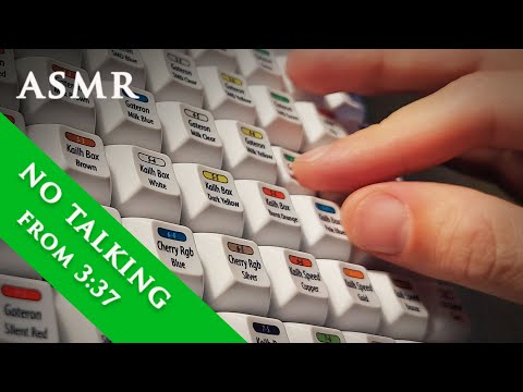 ASMR Mechanical Keyboard Switch tester | No Talking
