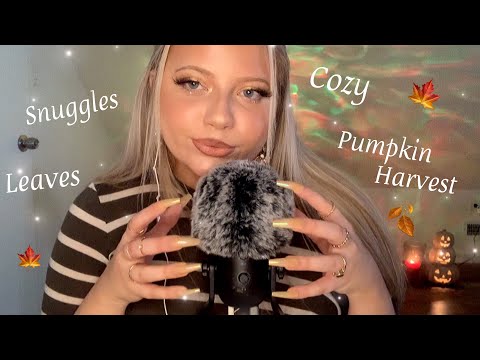 ASMR Autumn Triggers Words with Fluffy Mic Scratching 🍂🍁🧡👻🎃