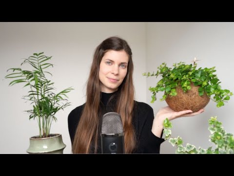ASMR | Plants Show & Tell 🪴 Vlaams zacht gesproken