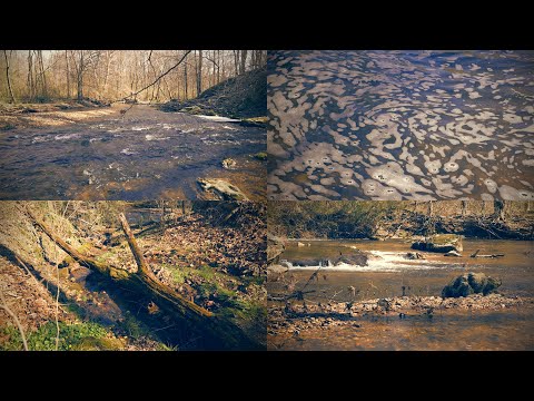 Peaceful Stream & Creek Sounds for Sleep, Stress Relief, Concentration, etc.