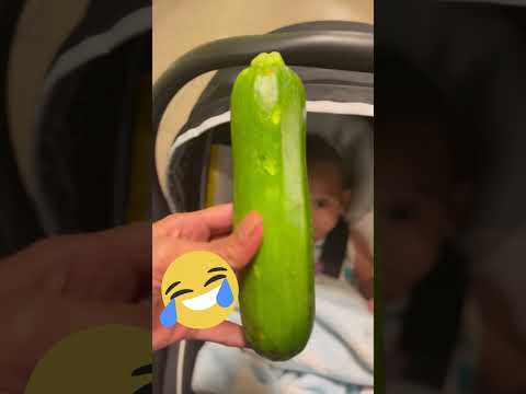 Hilarious and Adorable baby doesn’t like his vegetables. (Not ASMR) Funny Video