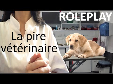 ASMR ROLEPLAY médecin - La pire vétérinaire