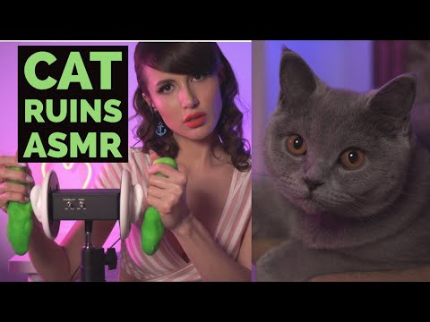 I wanted to make ASMR, my cat wanted to PLAY; Random sounds