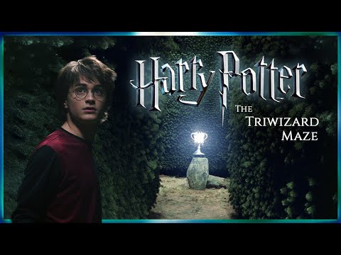 Triwizard Maze [ASMR] Harry potter Goblet of fire inspired Ambience 🌲Wind blowing ✨ Relax Study Read