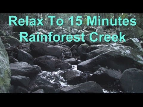 Rainforest Creek - White Noise Water for Sleeping & Relaxing - 15 minutes