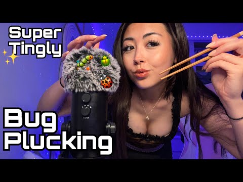 ASMR plucking and eating bugs! 🐛🪲 Lots of mouth sounds (BLUE YETI 100%) super tingly ✨✨✨