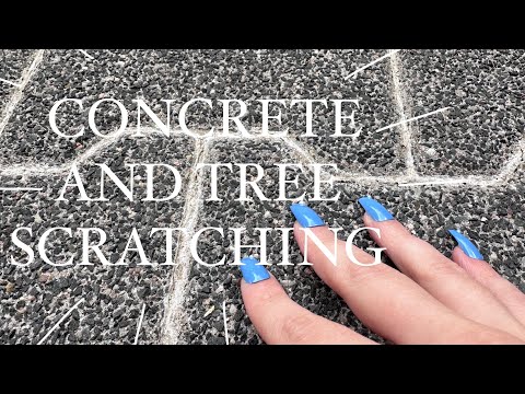 ASMR Concrete And Tree Scratching / Super Scratchy Sounds (no talking)