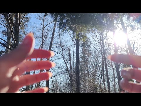 ASMR Double Handed Camera Tapping And Scratching-Ear to Ear (Lo-fi)