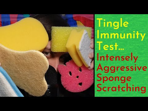 ASMR Intensely Aggressive Tingle Immunity Test (Sponge & Mic Scratching) What's Your Level?