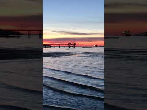 Soothing waves and vocalizations at sunset