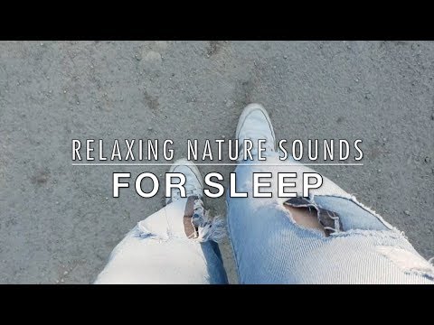 💤RELAXING NATURE SOUNDS for SLEEP 💤ASMR Herbst (Deutsch/English)