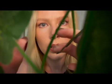 Getting You Untangled 🌿 Vines ASMR| up close personal attention| inaudible whispers