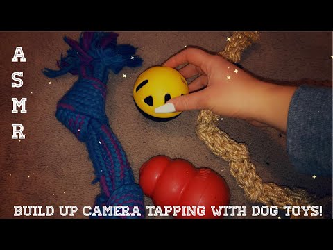 ASMR | Tapping & scratching on dog toys with camera tapping ✨