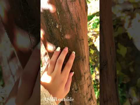 ASMR outside🍂| tapping, scratching