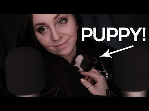 🕊️ // Meet My Puppy! & soft spoken ramble. ❤