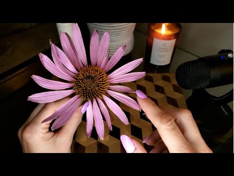(ASMR) Lo-Fi *Delightful Tapping for your Napping* -NO TALKING- Scratching-Flower-Jewelry Sounds