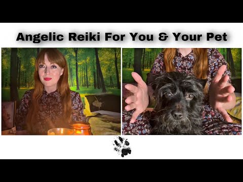 Angelic Reiki For You & Your Pet | ASMR | Divine Healing 🙏✨