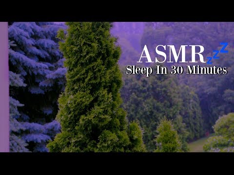 The Best ASMR Video for Sleep 😴 | Guaranteed Relaxation....~ ASMR Jay
