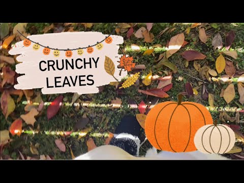 Stepping On Leaves ~ In my slippers! ASMR Crunchy & Relaxing Autumn Walk 🍂