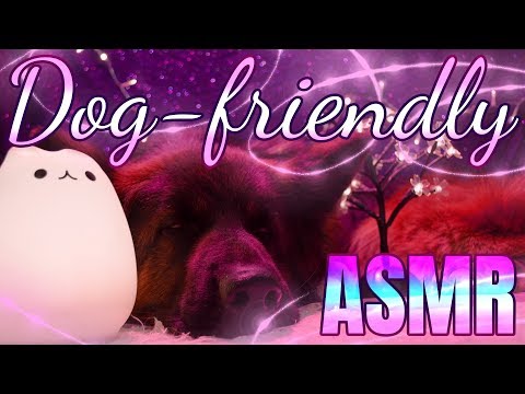 ASMR 💖 Dog Pampering 🐶🐕 escaping the rush of barking at the postman 📨