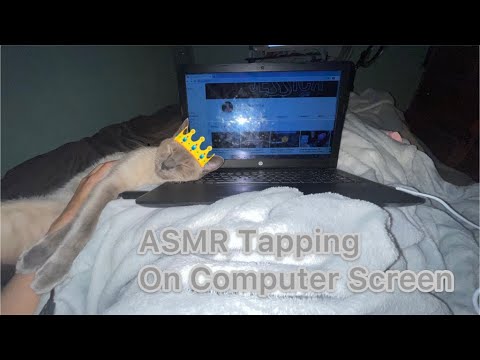 💗ASMR Tapping On Computer Screen💗  💻 🐱