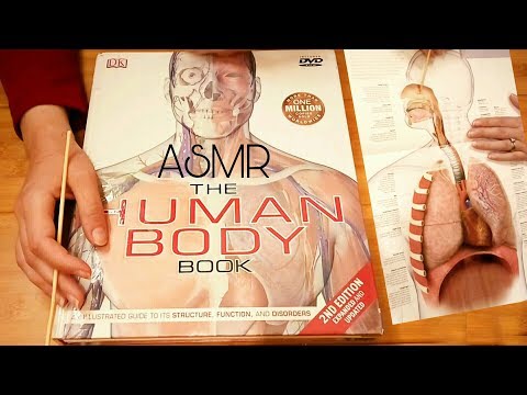 What is the Anatomy of Breathing? ASMR (Human Body Book)
