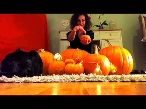 ASMR Lofi Tapping Pumpkins [no talking] [previously unreleased]