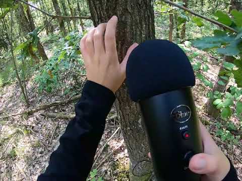 UNUSUAL ASMR in Forest/ Sounds of nature/ Walking sounds