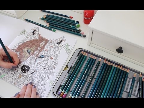 ASMR Coloring & Page Turning Relaxation | Wolf Session 2 (No Talking)