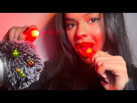 ASMR~ Lice Check 🐛🪰  YOU HAVE LICE (Mouth Sounds, Inaudible, Trigger Words)