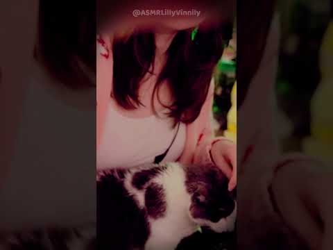 Soft Little Kitty Purrs From My Cat Pancakes #asmr #purringkittens