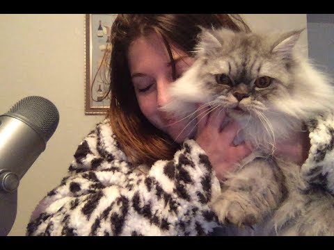 ASMR- MY CAT TRIES ASMR (brushing, nibbling)
