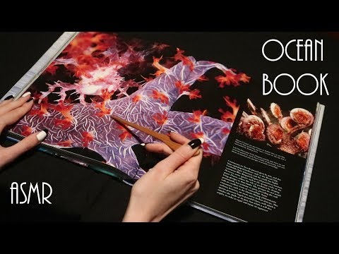 Ocean Book Flip Through ASMR