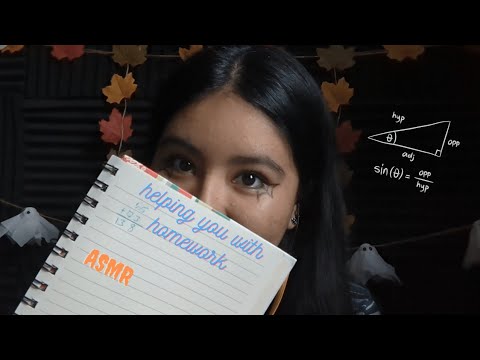 ASMR - Math Tutor Helps You With Your Homework