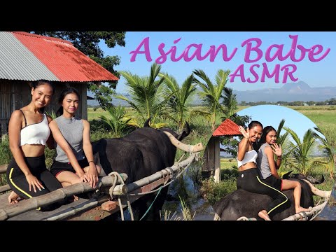 Asian Babe ASMR Relax in her Village with Breathtaking View and a Carabao Ride! (Nature Sounds)